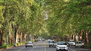 The corporation Wednesday submitted an affidavit listing the old trees in Dariba Kalan, Urdu Bazaar, Jama Masjid and Jagat Cinema areas on the court’s earlier directions, issued while hearing a plea to restore an approximately 300-year-old tree in Nai Sadak area of Chandni Chowk.(File photo for representation) The corporation Wednesday submitted an affidavit listing the old trees in Dariba Kalan, Urdu Bazaar, Jama Masjid and Jagat Cinema areas on the court’s earlier directions, issued while hearing a plea to restore an approximately 300-year-old tree in Nai Sadak area of Chandni Chowk.(File photo for representation)