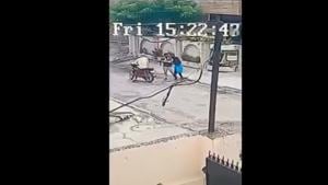 The footage showing the incident has gone viral on social media, with people praising Kusum Kumar.(Twitter/@hgsdhaliwalips) The footage showing the incident has gone viral on social media, with people praising Kusum Kumar.(Twitter/@hgsdhaliwalips)
