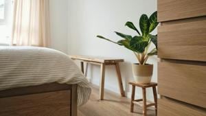 Healthy Air is herbal-based and is non-carcinogenic, non-toxic, non-mutagenic, and purifies the air, and makes it breathable. (Representational Image)(Unsplash) Healthy Air is herbal-based and is non-carcinogenic, non-toxic, non-mutagenic, and purifies the air, and makes it breathable. (Representational Image)(Unsplash)
