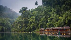 Thailand has more than 100 national parks, which cover the mountain regions in the north to tropical islands in the south, containing popular attractions like Phi Phi Islands and Phang Nga Bay.(Unsplash) Thailand has more than 100 national parks, which cover the mountain regions in the north to tropical islands in the south, containing popular attractions like Phi Phi Islands and Phang Nga Bay.(Unsplash)
