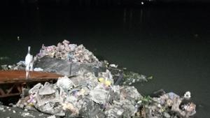 Muse Foundation, the group, first came to know about the practice in 2019 when it received a response under the Right to Information (RTI) Act from the corporation that they had been collecting Ganesh idols at 19 artificial ponds and dumping them at Thane Creek.(HT Photo) Muse Foundation, the group, first came to know about the practice in 2019 when it received a response under the Right to Information (RTI) Act from the corporation that they had been collecting Ganesh idols at 19 artificial ponds and dumping them at Thane Creek.(HT Photo)