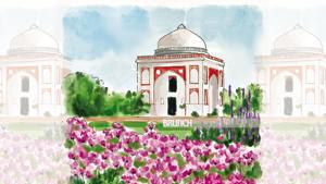 Sunder Nursery is a green wonderland that sends out its siren call with every picture on Instagram(Illustration: Aparna Ram) Sunder Nursery is a green wonderland that sends out its siren call with every picture on Instagram(Illustration: Aparna Ram)