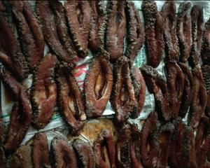 The consignment is pegged at Rs 32 lakh; sea cucumbers are listed under Schedule I of the Wildlife Protection Act that provides them absolute protection and their commercial use is banned.(Lakshadweep forest department) The consignment is pegged at Rs 32 lakh; sea cucumbers are listed under Schedule I of the Wildlife Protection Act that provides them absolute protection and their commercial use is banned.(Lakshadweep forest department)