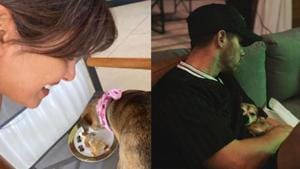Priyanka Chopra has shared a special birthday video for her pooch, Diana. Priyanka Chopra has shared a special birthday video for her pooch, Diana.