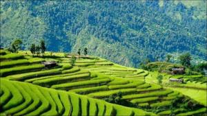 ‘Shimla of Nepal’ misses tourists(Twitter/RONBupdates) ‘Shimla of Nepal’ misses tourists(Twitter/RONBupdates)