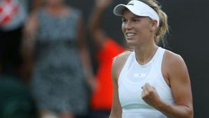 Tsvetana Pironkova used her special ranking after maternity leave to enter the main draw in New York.(Reuters) Tsvetana Pironkova used her special ranking after maternity leave to enter the main draw in New York.(Reuters)