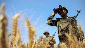 According to official government data, state police forces had 1,470 sniffer dogs and 790 tracker dogs and the central armed police forces (or paramilitary forces) 1,702 sniffer dogs and 407 tracker dogs in 2019.(PTI) According to official government data, state police forces had 1,470 sniffer dogs and 790 tracker dogs and the central armed police forces (or paramilitary forces) 1,702 sniffer dogs and 407 tracker dogs in 2019.(PTI)