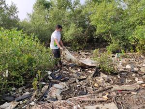 The NGO has been cleaning Navi Mumbai mangroves every Sunday since August 15.(Environment Life) The NGO has been cleaning Navi Mumbai mangroves every Sunday since August 15.(Environment Life)