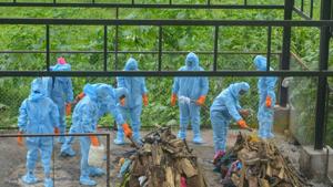 Municipality workers cremate persons who died of Covid-19, in Karad, Maharashtra, on August 8.(PTI) Municipality workers cremate persons who died of Covid-19, in Karad, Maharashtra, on August 8.(PTI)