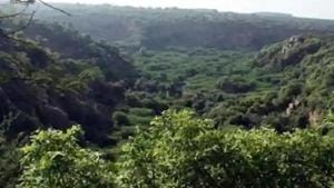 The forest department claimed that they are giving all benefits to these villagers as per the relocation guidelines of the Central government. (Representative photo) The forest department claimed that they are giving all benefits to these villagers as per the relocation guidelines of the Central government. (Representative photo)
