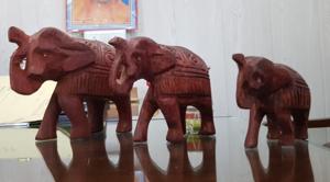 Wooden toys made by the members of Bachatrgarh self help group in Saharanpur in Uttar Pradesh.(HT PHOTO) Wooden toys made by the members of Bachatrgarh self help group in Saharanpur in Uttar Pradesh.(HT PHOTO)
