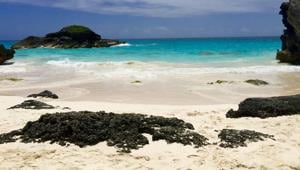 Bermuda(Unsplash) Bermuda(Unsplash)