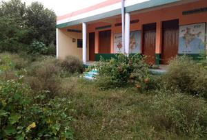 Wild growth outside the Government Smart Middle School at Kasauli village in Majri block of Mohali district.(Gurminder Singh/HT) Wild growth outside the Government Smart Middle School at Kasauli village in Majri block of Mohali district.(Gurminder Singh/HT)