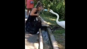 An image from the video going viral.(Twiter/@anthonysarti11) An image from the video going viral.(Twiter/@anthonysarti11)