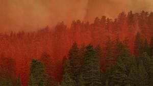 Crews in Jackson County, Oregon, were hoping to venture into rural areas where the Alameda Fire has abated slightly with slowing winds, sending up thick plumes of smoke as the embers burned.(AFP) Crews in Jackson County, Oregon, were hoping to venture into rural areas where the Alameda Fire has abated slightly with slowing winds, sending up thick plumes of smoke as the embers burned.(AFP)