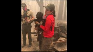 The post has been shared with several pictures of officials tending to the puppy.(Facebook/@Butte County Sheriff) The post has been shared with several pictures of officials tending to the puppy.(Facebook/@Butte County Sheriff)