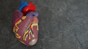 “Even though high blood pressure causes so much death and disability, we don’t know the root cause of it.”(Unsplash) “Even though high blood pressure causes so much death and disability, we don’t know the root cause of it.”(Unsplash)