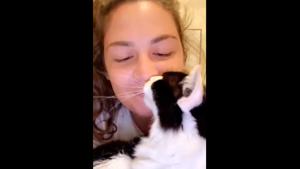 A screenshot of the woman and the feline.(Reddit/Crazy_Ira) A screenshot of the woman and the feline.(Reddit/Crazy_Ira)