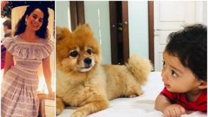 Kangana Ranaut shared a cute picture of her nephew Prithvi Raj on Twitter. Kangana Ranaut shared a cute picture of her nephew Prithvi Raj on Twitter.