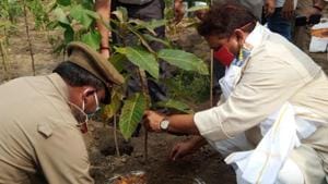 UP minister Ravindra Jaiswal planting a sapling in the upcoming three-layered forest on the Ganga banks near Domri village in Varanasi(HT Photo) UP minister Ravindra Jaiswal planting a sapling in the upcoming three-layered forest on the Ganga banks near Domri village in Varanasi(HT Photo)