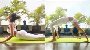 Tara Sutaria’s home yoga session is all about cobra and wheel poses(Instagram/tarasutaria)