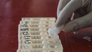 A health worker collects samples for COVID-19 Rapid Antigen test in Srinagar.(PTI) A health worker collects samples for COVID-19 Rapid Antigen test in Srinagar.(PTI)