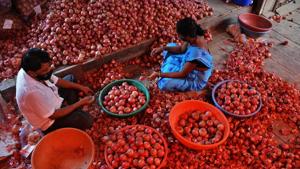 These reforms were similar to the 1991 moment for the wider economy and were hailed as such by leading experts(HT Photo) These reforms were similar to the 1991 moment for the wider economy and were hailed as such by leading experts(HT Photo)