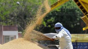 File photo: A worker during procurement process of wheat at a grain market.(Anil Dayal/Hindustan Times) File photo: A worker during procurement process of wheat at a grain market.(Anil Dayal/Hindustan Times)