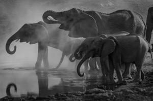 Representational Image(Unsplash)