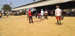 Labourers resume work at a grain market in Kurukshetra after procurement operations resumed on Tuesday.(HT Photo) Labourers resume work at a grain market in Kurukshetra after procurement operations resumed on Tuesday.(HT Photo)