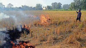 Delhi government data shows that in 2019, stubble burning in the northern states of Punjab and Haryana accounted for 44% of air pollution in the national capital. Delhi government data shows that in 2019, stubble burning in the northern states of Punjab and Haryana accounted for 44% of air pollution in the national capital.