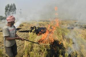 The farmer unions say they will not bow down under any pressure and will opt for the cheapest way to handle the crop residue until paid for its proper disposal. The farmer unions say they will not bow down under any pressure and will opt for the cheapest way to handle the crop residue until paid for its proper disposal.