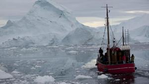 In this July 18, 2011 file photo, a boat steers slowly through floating ice, and around icebergs, all shed from the Greenland ice sheet, outside Ilulissat, Greenland.(AP)