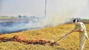 Delhi government data shows that last year stubble burning accounted for 44% of the city’s air pollution.(Sameer Sehgal/ HT Photo) Delhi government data shows that last year stubble burning accounted for 44% of the city’s air pollution.(Sameer Sehgal/ HT Photo)