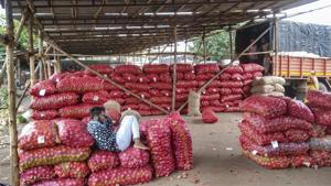 A worker sits with onions at a market in Pune on September 15. The government banned the export of all varieties of onions a day ago.(PTI) A worker sits with onions at a market in Pune on September 15. The government banned the export of all varieties of onions a day ago.(PTI)