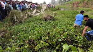 Forest officials, police and locals searching for the girl, who was attacked by a crocodile, in Haridwar forest division.(HT Photo) Forest officials, police and locals searching for the girl, who was attacked by a crocodile, in Haridwar forest division.(HT Photo)