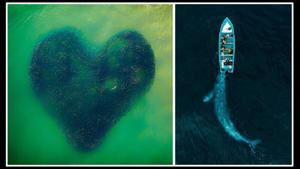 Photographs that won accolades in the Drone Awards 2020.(Instagram/@sipacontest) Photographs that won accolades in the Drone Awards 2020.(Instagram/@sipacontest)