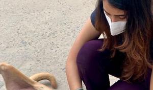 Vrinda Sharma, a Faridabad resident, has started a rehabilitation centre for dogs near her house. Vrinda Sharma, a Faridabad resident, has started a rehabilitation centre for dogs near her house.