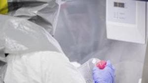 Trial results for the first 275 patients showed the greatest effect in those who had not yet mounted their own immune response prior to treatment.(Bloomberg) Trial results for the first 275 patients showed the greatest effect in those who had not yet mounted their own immune response prior to treatment.(Bloomberg)