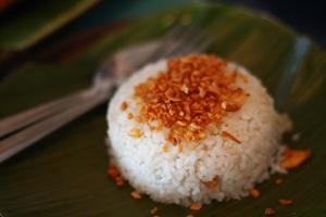 Fried garlic. Beef and vegetables. Pickled plums and sesame seeds. ‘I was shocked by how many preferred just ketchup,’ Qasim says.(Wikimedia) Fried garlic. Beef and vegetables. Pickled plums and sesame seeds. ‘I was shocked by how many preferred just ketchup,’ Qasim says.(Wikimedia)
