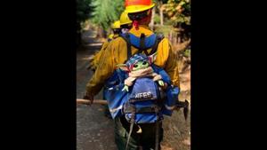 A Baby Yoda doll ‘hitches’ a ride in the backpack of an Oregon Air National Guard firefighter.(AP) A Baby Yoda doll ‘hitches’ a ride in the backpack of an Oregon Air National Guard firefighter.(AP)