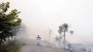 The pollution and smoky haze around Punjab, Haryana and New Delhi has been linked with stubble burning and is said to be a contributing factor for increasing air pollution.(PTI file) The pollution and smoky haze around Punjab, Haryana and New Delhi has been linked with stubble burning and is said to be a contributing factor for increasing air pollution.(PTI file)