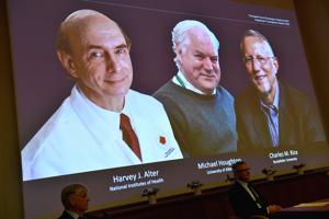 Harvey J. Alter, Michael Houghton and Charles M. Rice, are seen on a screen as they are announced as the winners of the 2020 Nobel Prize in Physiology or Medicine.(via REUTERS) Harvey J. Alter, Michael Houghton and Charles M. Rice, are seen on a screen as they are announced as the winners of the 2020 Nobel Prize in Physiology or Medicine.(via REUTERS)