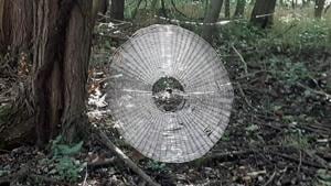 The image has been shared on the Facebook account of the Missouri Dept. of Conservation. The image has been shared on the Facebook account of the Missouri Dept. of Conservation.