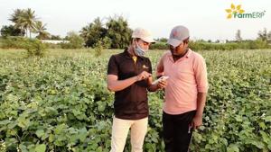 Field Officer advising a Smallholder Vegetable Farmer on suitable agricultural practices(Business Wire India) Field Officer advising a Smallholder Vegetable Farmer on suitable agricultural practices(Business Wire India)