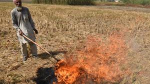A farmer burns straw stubble in a field after the paddy crop harvest near Jandiala Guru in Amritsar, Punjab.(Sameer Sehgal/Hindustan Times) A farmer burns straw stubble in a field after the paddy crop harvest near Jandiala Guru in Amritsar, Punjab.(Sameer Sehgal/Hindustan Times)