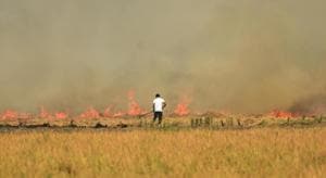 A farmer burns straw stubble in a field after the paddy crop harvest, near Jandiala Guru in Amritsar, Punjab, India on Monday, September 28, 2020.(Photo by Sameer Sehgal/Hindustan Times) A farmer burns straw stubble in a field after the paddy crop harvest, near Jandiala Guru in Amritsar, Punjab, India on Monday, September 28, 2020.(Photo by Sameer Sehgal/Hindustan Times)