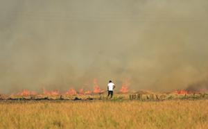 A farmer burns straw stubble in a field after the paddy crop harvest.(HT Photo)