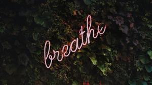 “Citizens should concentrate more on their mental health during this pandemic period.”(Unsplash) “Citizens should concentrate more on their mental health during this pandemic period.”(Unsplash)