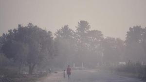 Due to stubble burning around Punjab, Haryana, and neighbouring border regions, the fire count was found at 253 on Saturday, SAFAR said.(Vipin Kumar/HT PHOTO) Due to stubble burning around Punjab, Haryana, and neighbouring border regions, the fire count was found at 253 on Saturday, SAFAR said.(Vipin Kumar/HT PHOTO)